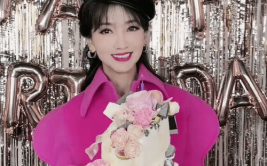 《衣冠楚楚(高干)》,衣冠楚楚高干风云录